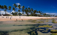 Vilas do Atlantico Salvador Bahia Lauro de Freitas