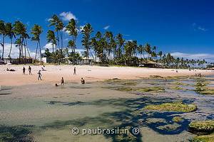 Vilas do Atlntico Lauro de Freitas Salvador Bahia Brasil